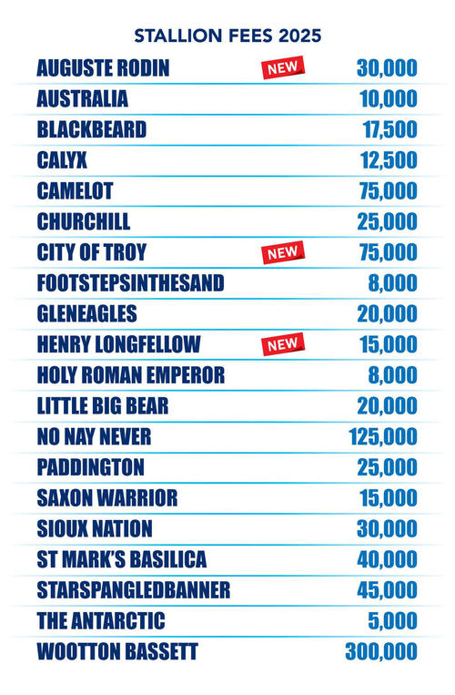 クールモアが種付け料発表！オーギュストロダンは3万ユーロ、シティ