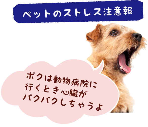モン コパン＜ペット（犬・猫）用サプリメント・パウダータイプ