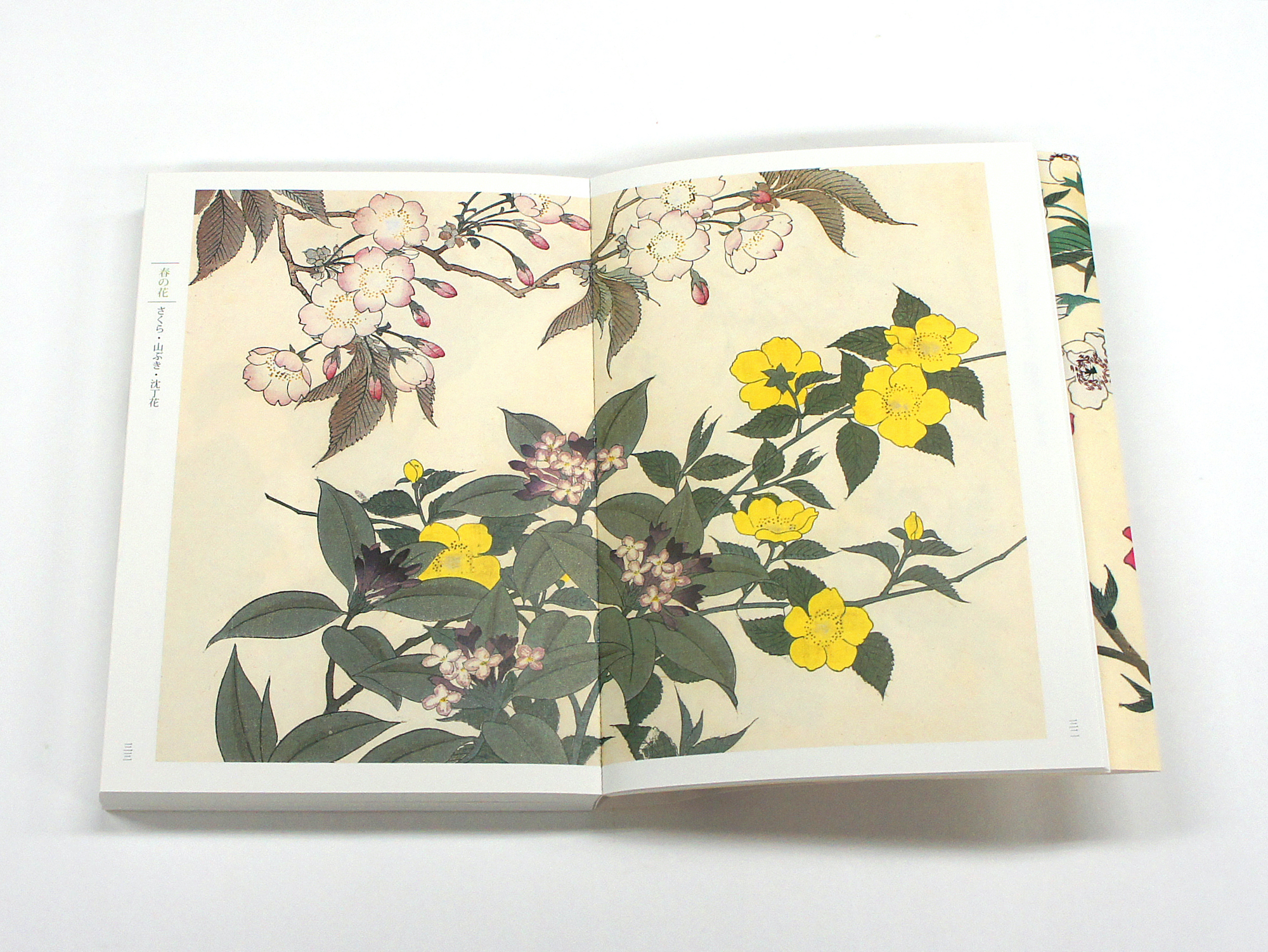 新装版 四季の花（上巻）｜青幻舎 SEIGENSHA Art Publishing, Inc.