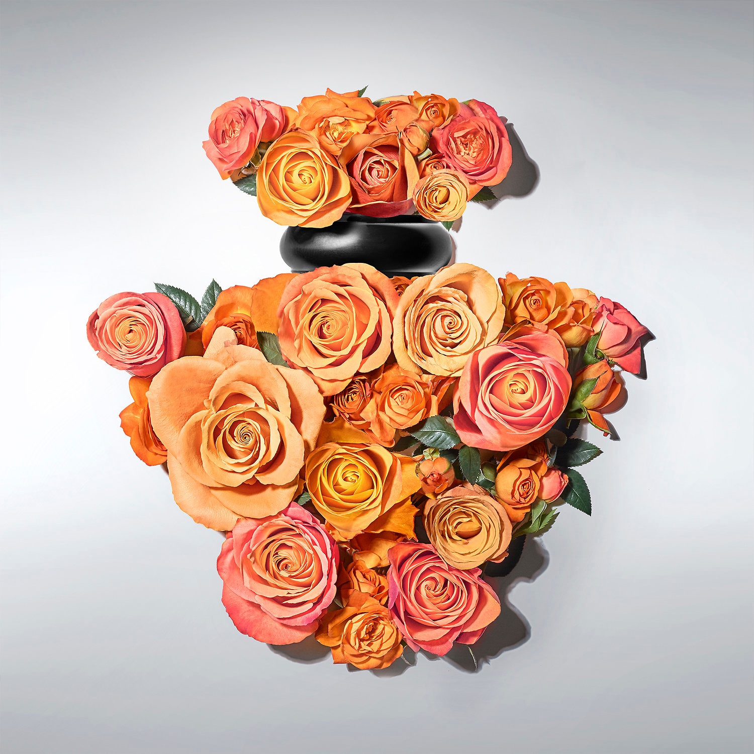 p375937-av-03-zoom.jpg?imwidth=315