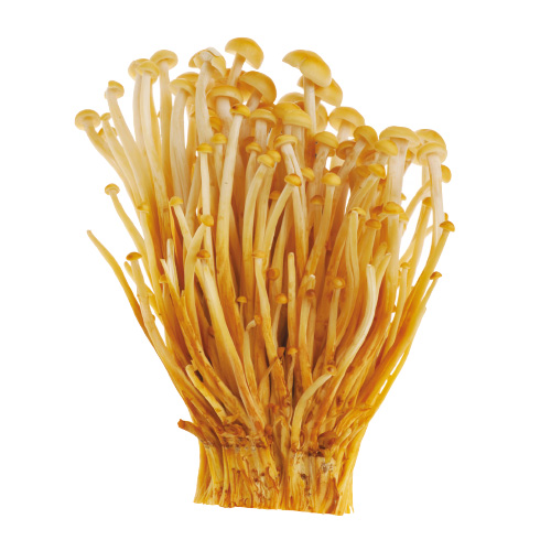 えのきたけ | 大阪市中央卸売市場