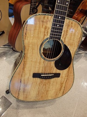 アコースティックギター】限定生産品「グレッグベネットギターズ D-30