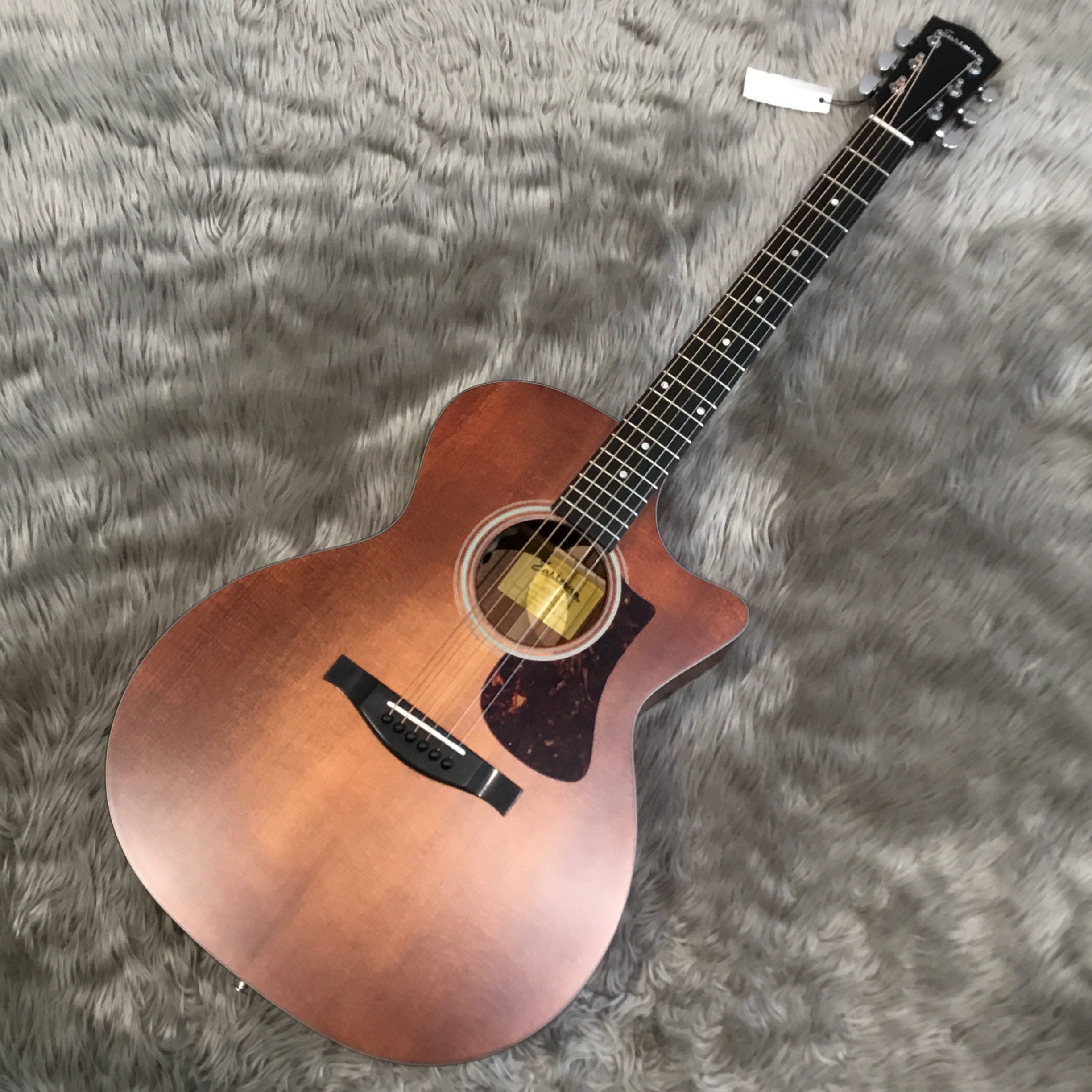 アコースティックギター】Eastmanが入荷！スタッフ一押し！｜島村楽器