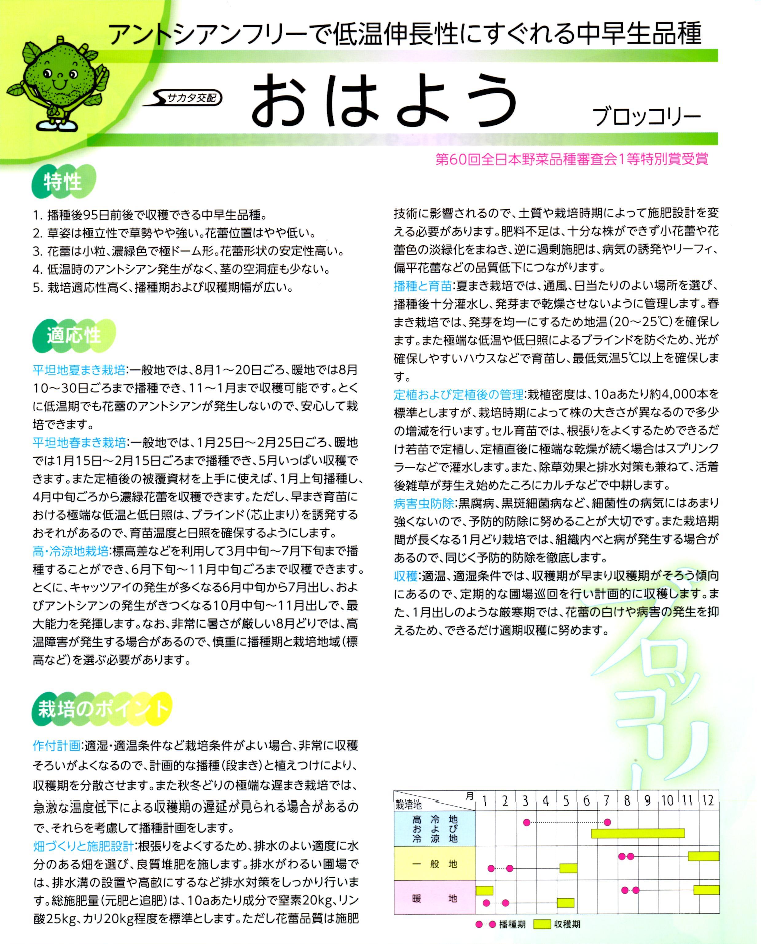 ブロッコリー種子】 サカタ交配 「おはよう」 ☆オリジナル小袋あり