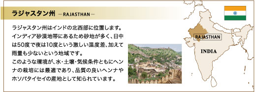 Product | シナリー株式会社