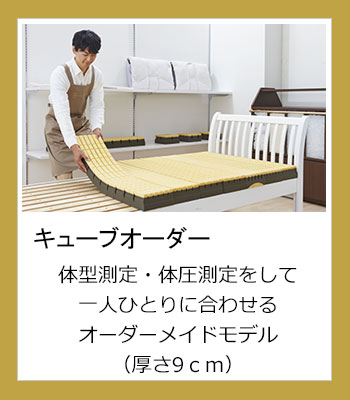 アクティブスリープベッドCモデル（旧名インタイム1000）電動ベッド