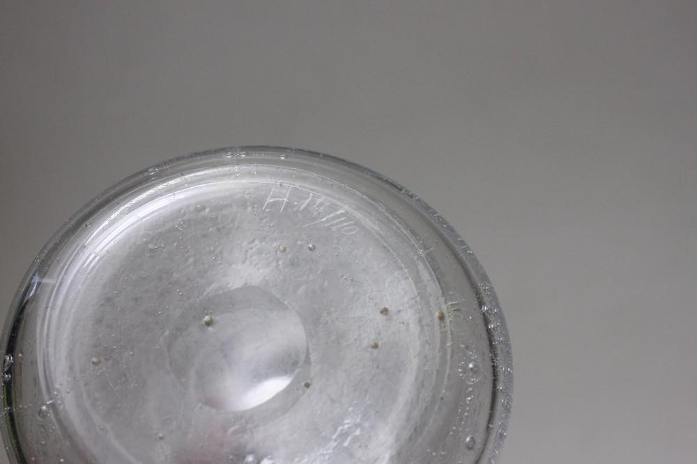 Erik Hoglund/エリックホグラン/ クリア/気泡入り/ボトル