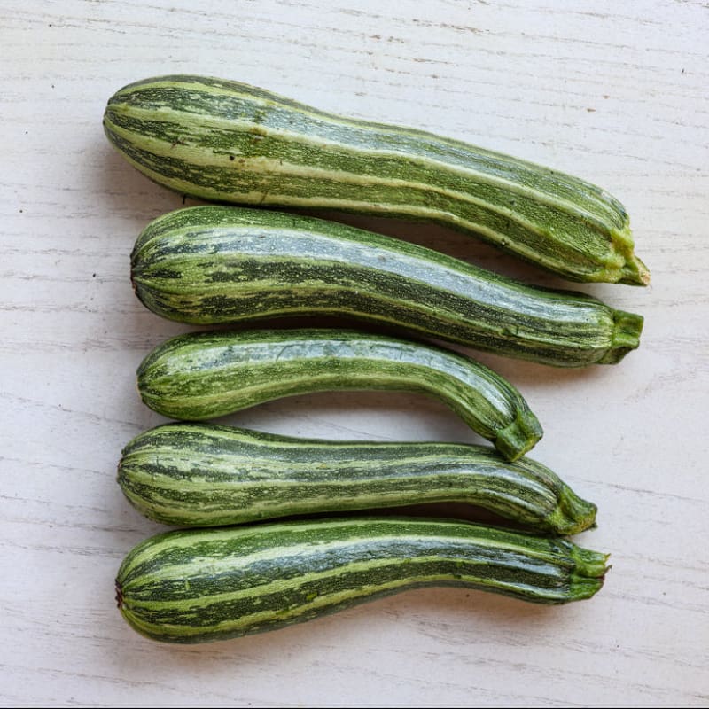 Cocozelle Summer Squash (Heirloom, 58 Days) – Pinetree Garden Seeds