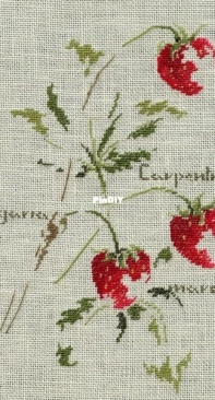 Marie Therese Saint Aubin - Search - PinDIY.com - Free Download