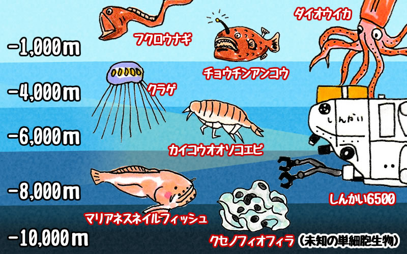 マリアナ海溝とは！知られざる内容について徹底解説！ - 水中ドローン