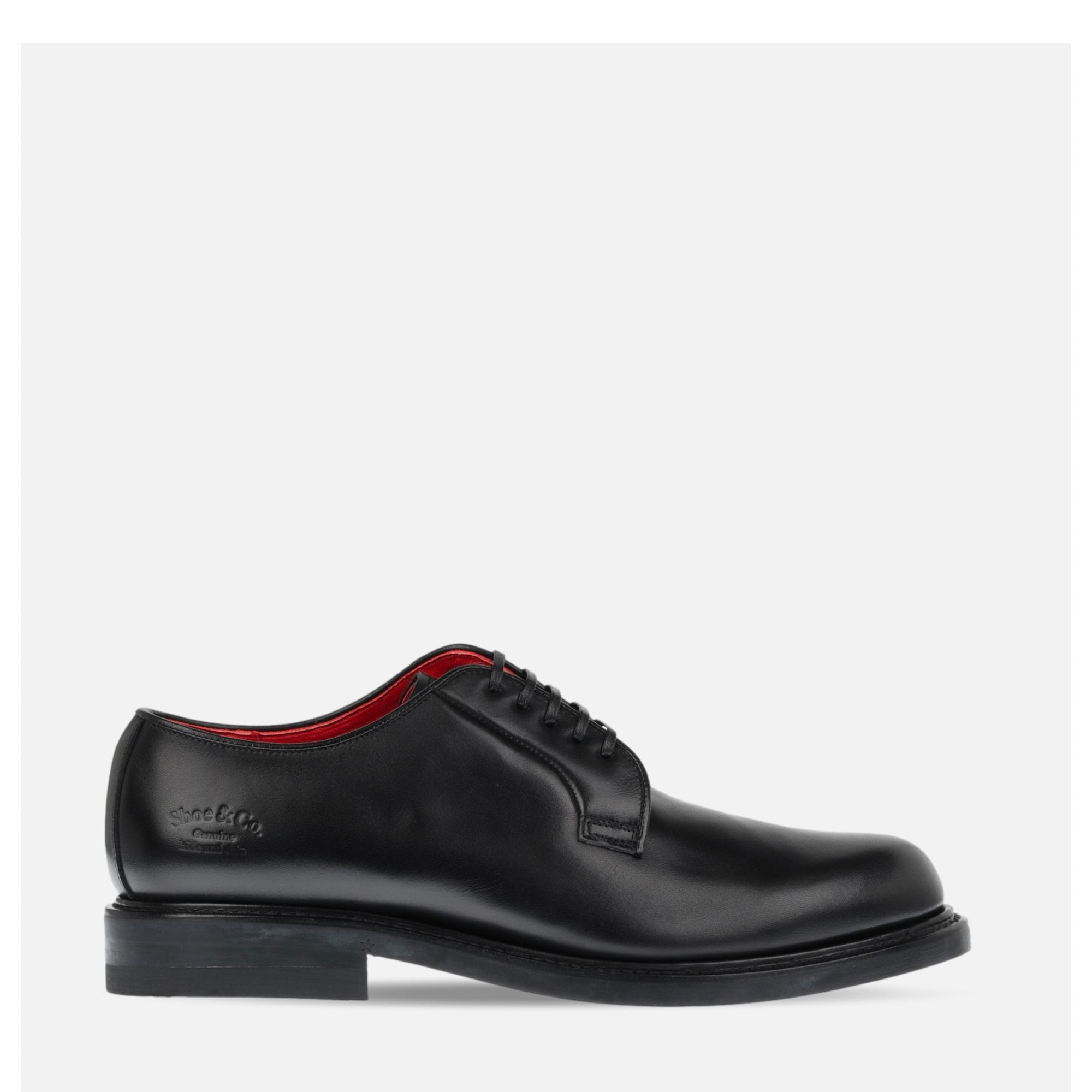 Regal Shoe & Co | Plain Toe Shoe Black | Royalcheese Shoes