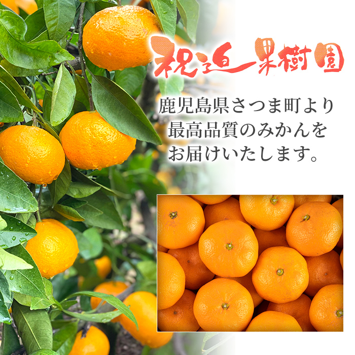 楽天市場】【ふるさと納税】＜2025年1月より順次発送予定＞≪期間限定