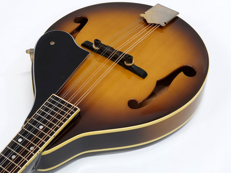 あおちゃん【希少】BlueBell フラットマンドリン 高級 FM-25 BlueBell FM-25入荷！！ – 沖田ギター工房