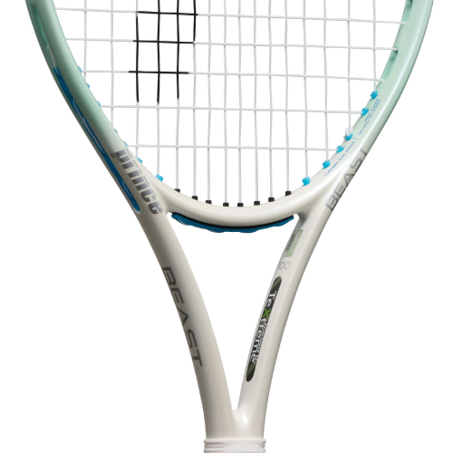 ウインザーオンラインショッププリンス ビースト オースリー 100 280g