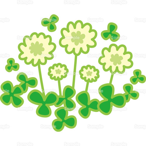 クローバー,しろつめくさ,野草,のイラスト(005_0398) | クリエーターズ