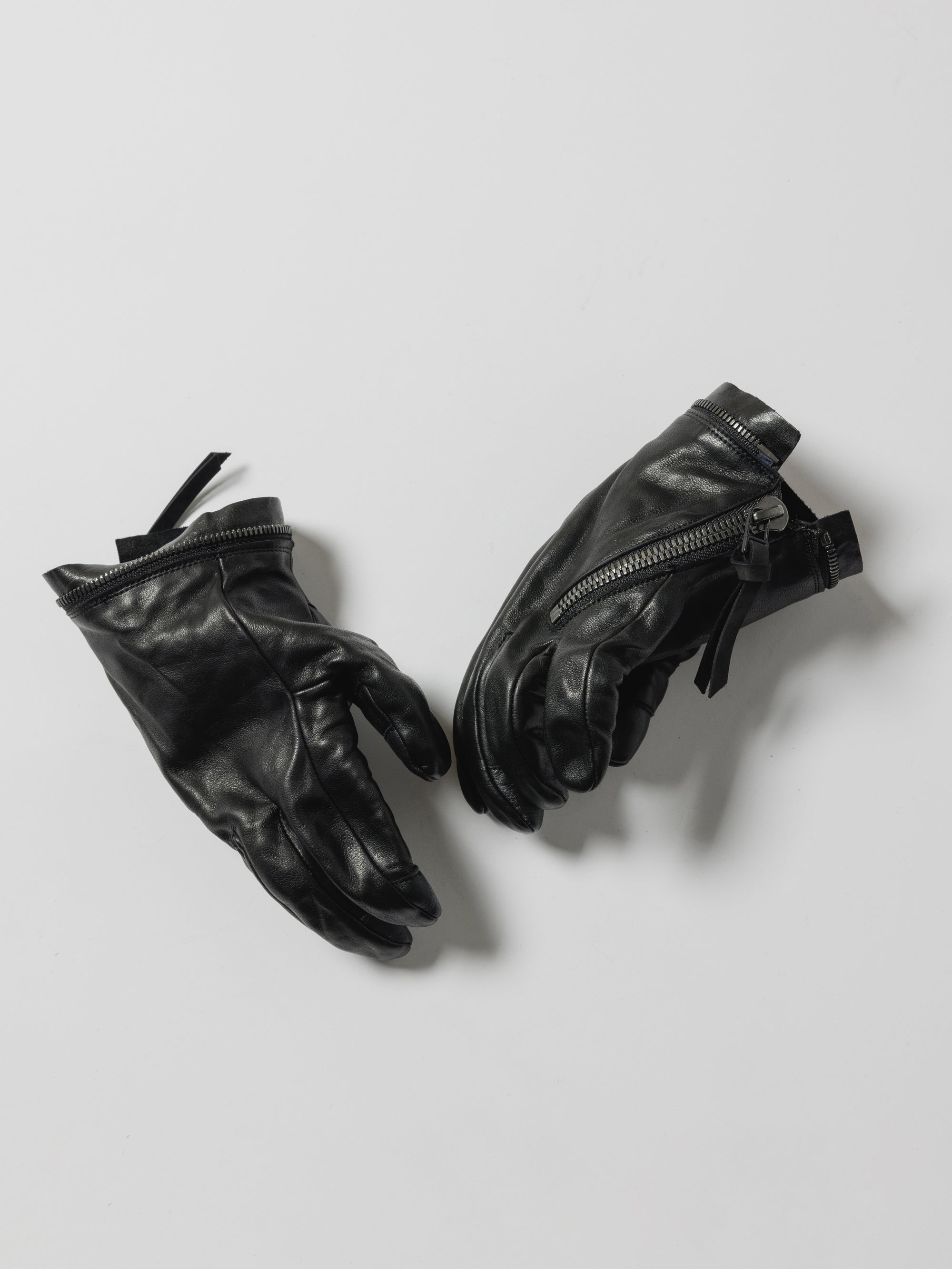 THE VIRIDI-ANNE （ザ ヴィリディアン）TVA 24AW × × D.HYGEN LEATHER