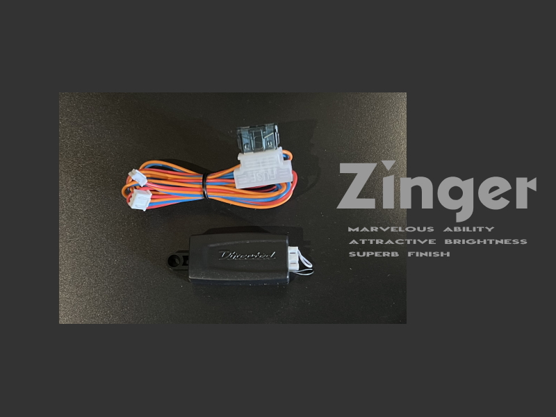 SECURITY カーセキュリティ| Zinger