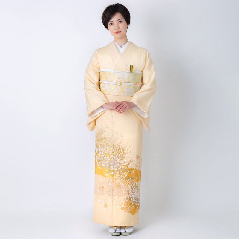 色留袖：E252 桂由美 クリーム色 雲取りに菊☆(E253)| 色留袖レンタル
