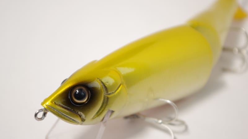 初心者向け】ビッグプラグ不要！オカッパリのコノシロパターン攻略法！！