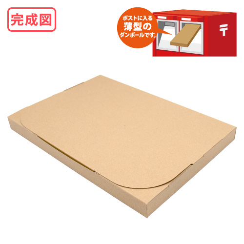 ZAP 差込み式メール便ケース ネコポス ゆうパケット B5サイズ 【厚み