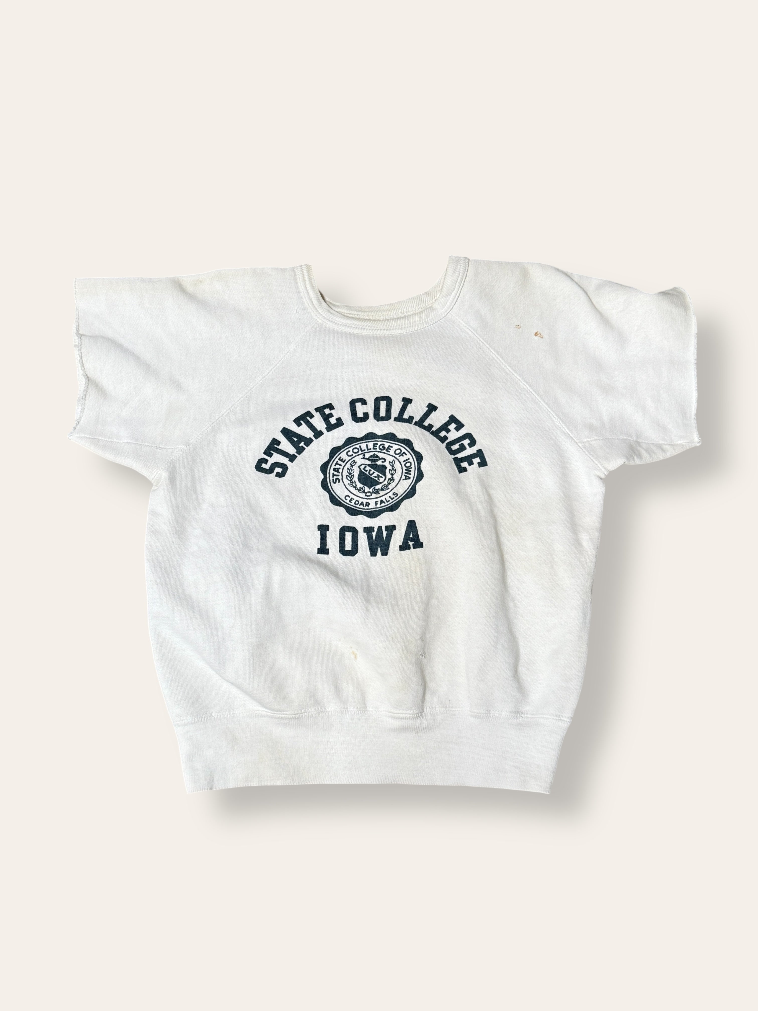 Vintage 1960's State College Iowa Flock Print Sweatshirt