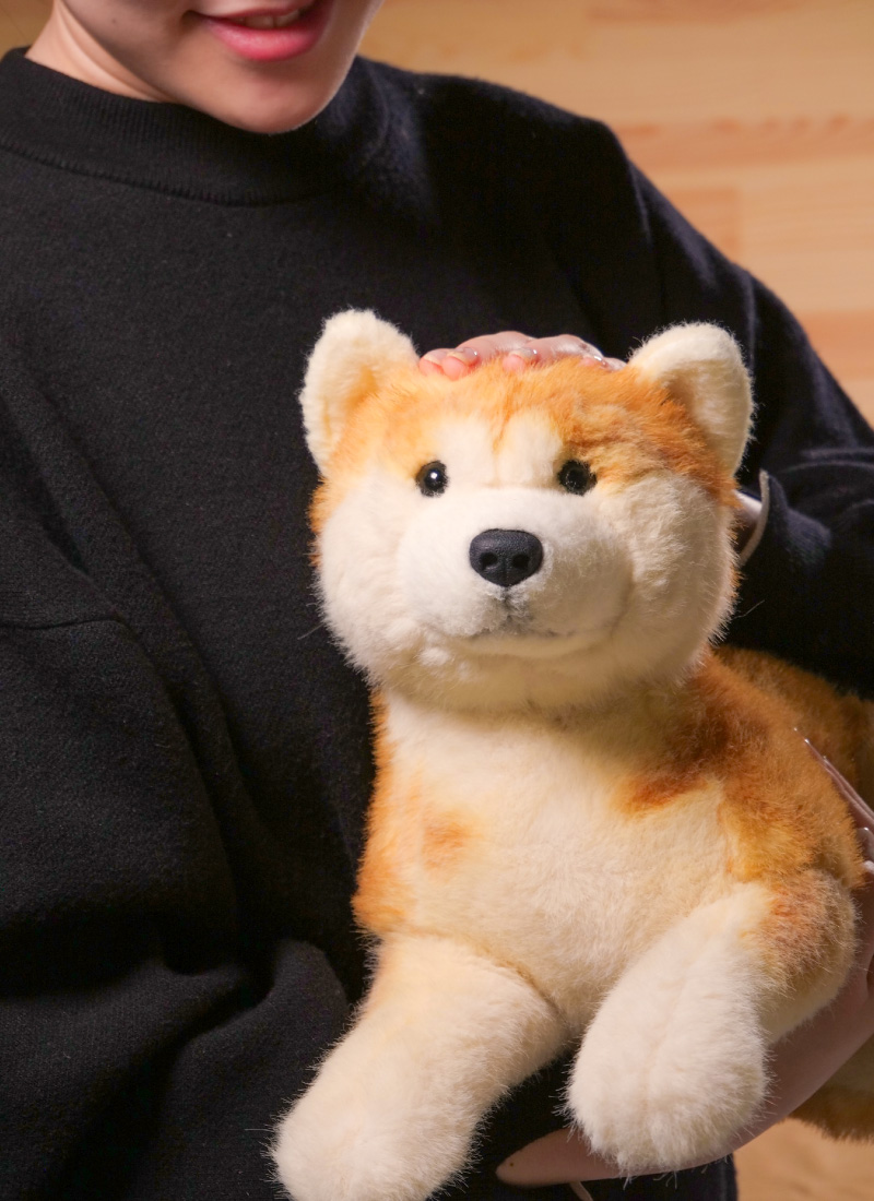 なでなでワンちゃん秋田犬 HACHI‐EX | ハチふる SHIBUYA meets AKITA