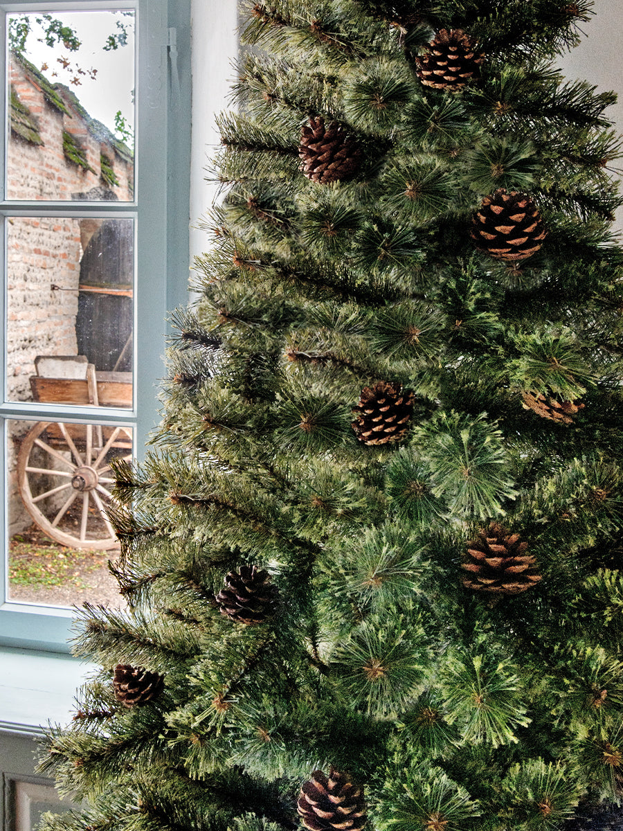 アルザスツリー 樅 – alsace_tree