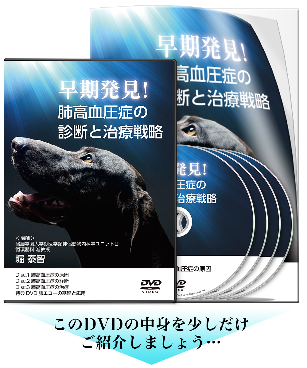 早期発見！肺高血圧症の診断と治療戦略 | 株式会社 医療情報研究所
