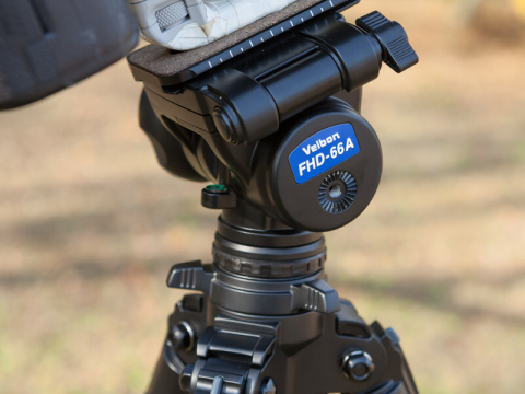 特別企画：ベルボンの新型雲台「FHD-66A」が野鳥撮影で使いやすい