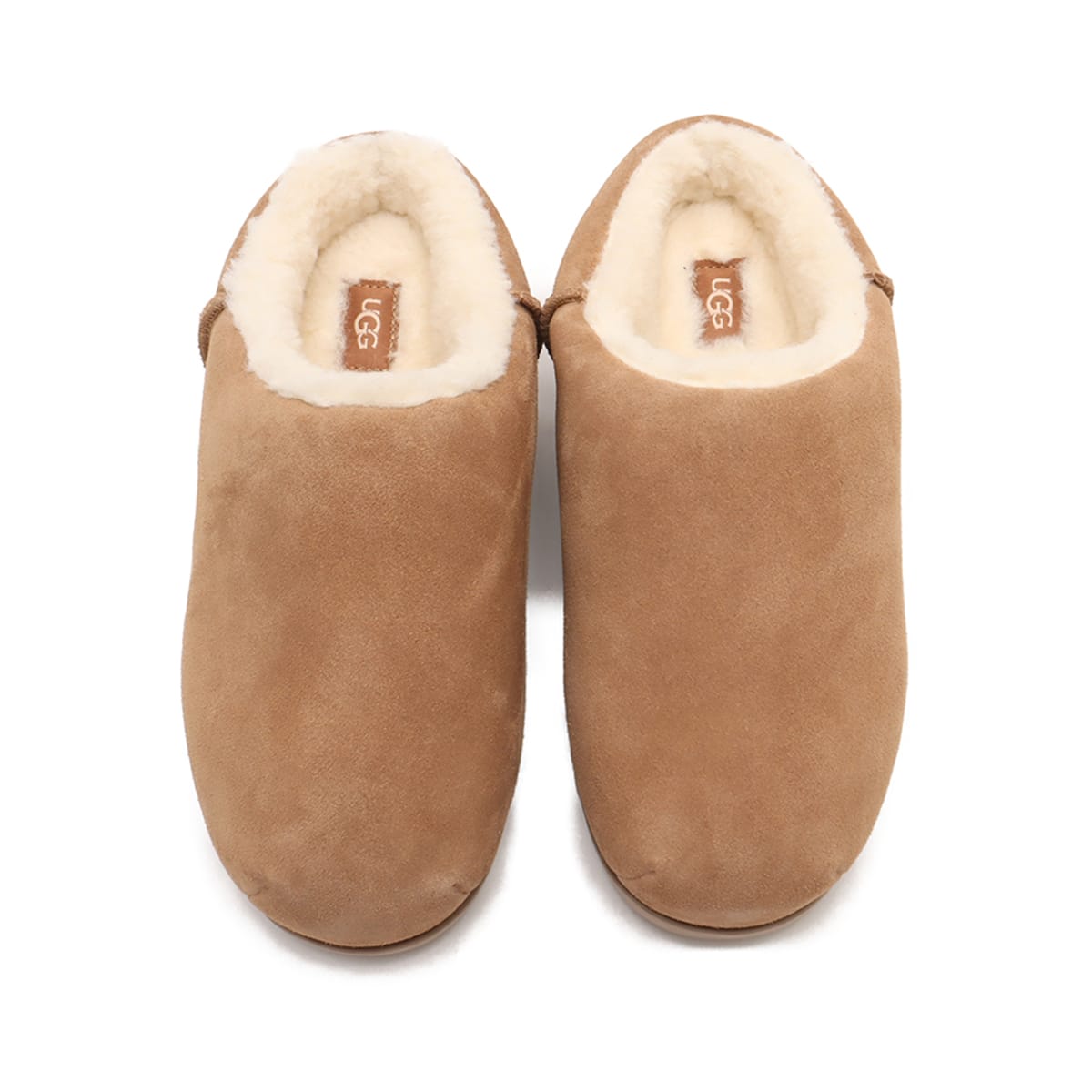 UGG W PUMPED SLIDE CHESTNUT （アグ パンプド スライド-ブラウン