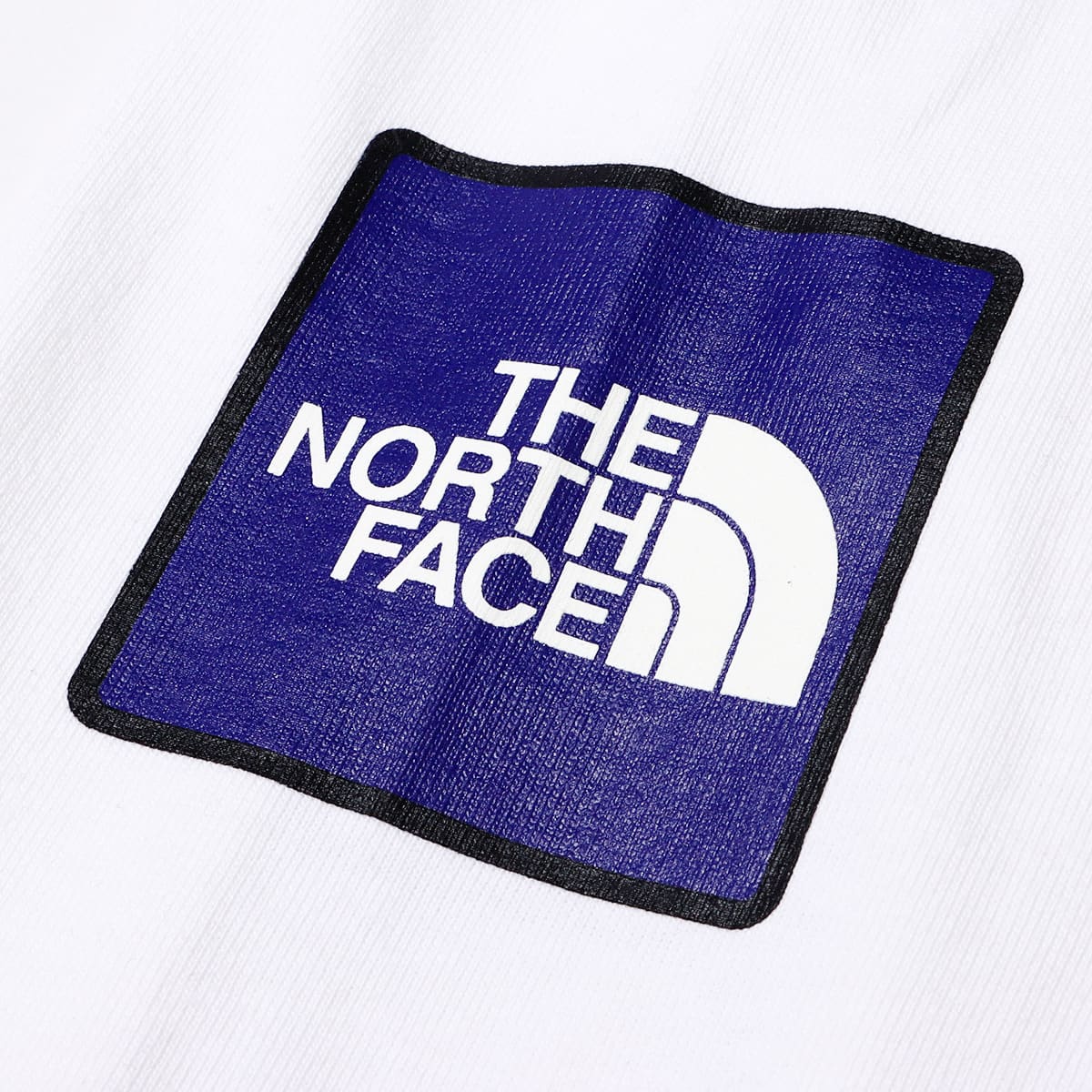 THE NORTH FACE L/S TRANS ANTARCTICA TEE ホワイト 22FW-I（ザ