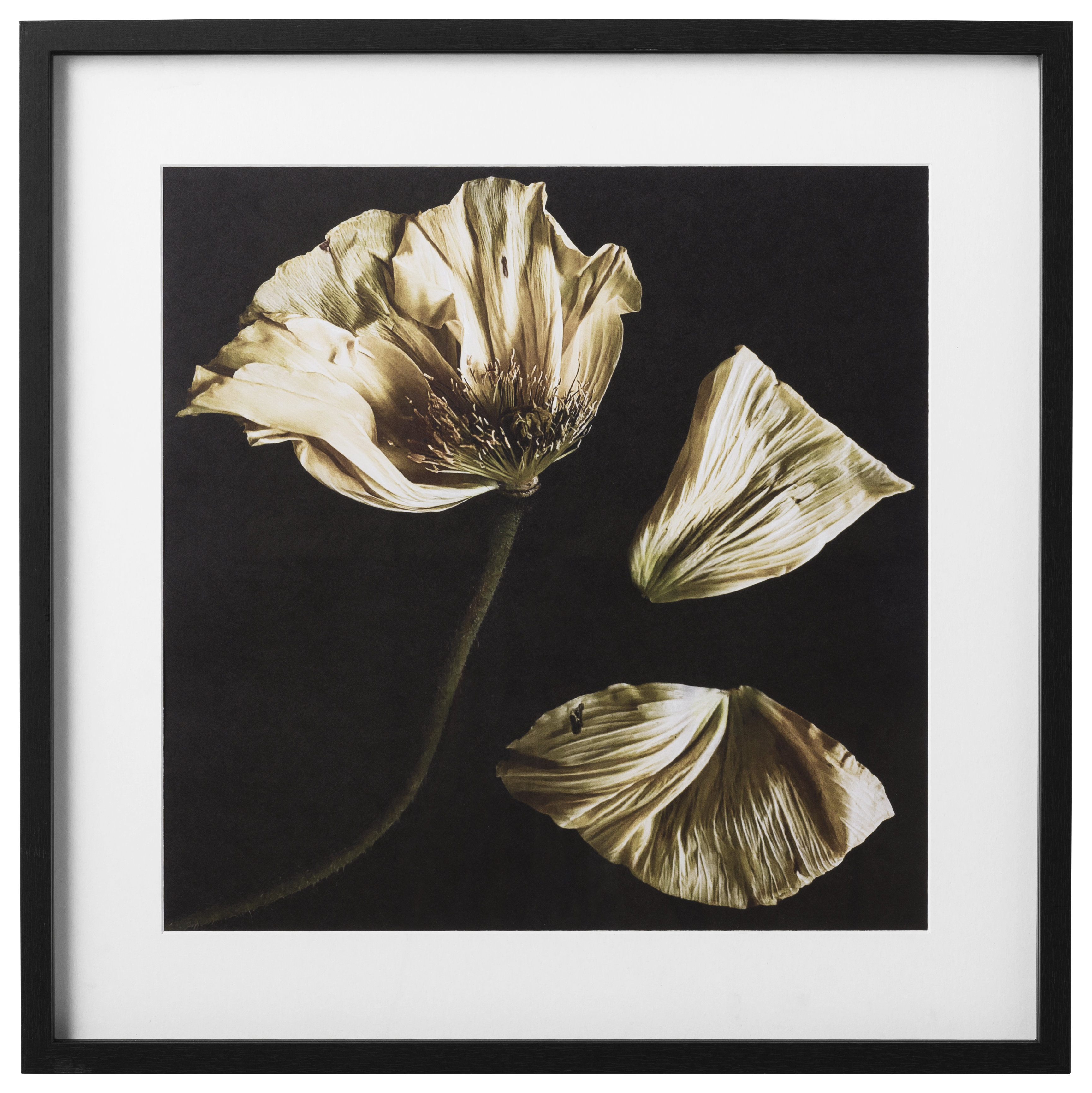 モダンなコンテンポラリーウォールアート | コンテンポラリーな