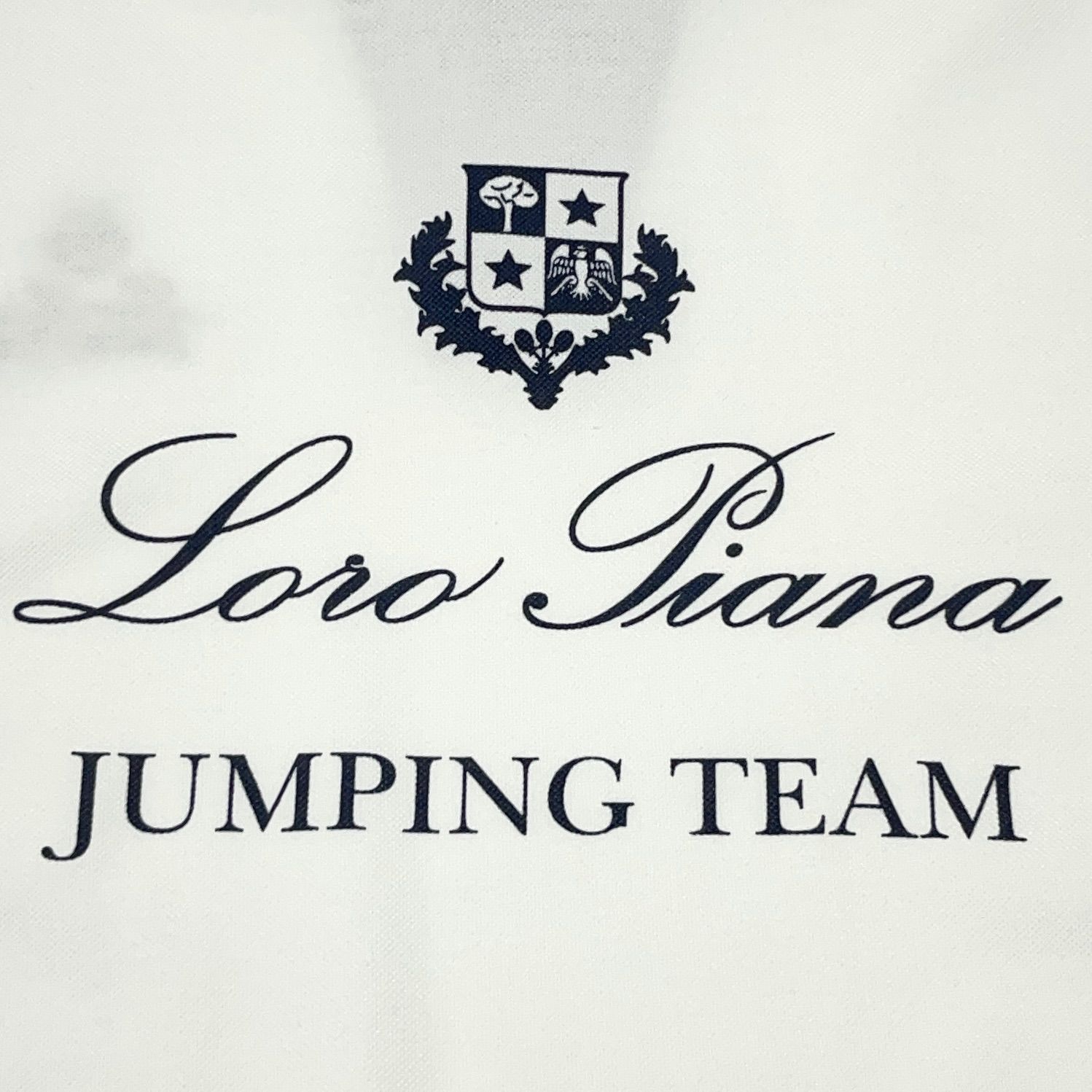 ロロピアーナ Loro Piana イタリア製 刺繍ロゴ バックプリント