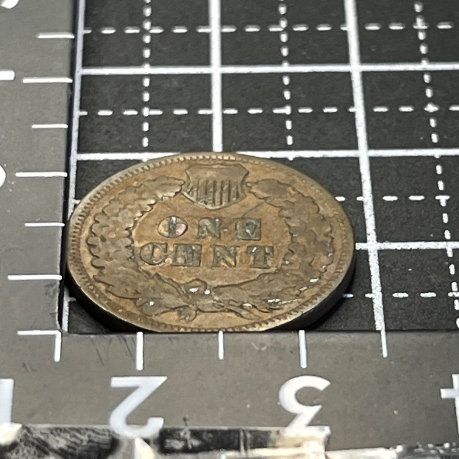 1896年 アメリカ インディアンヘッド 1セント銅貨 ONE CENT 19世紀米国