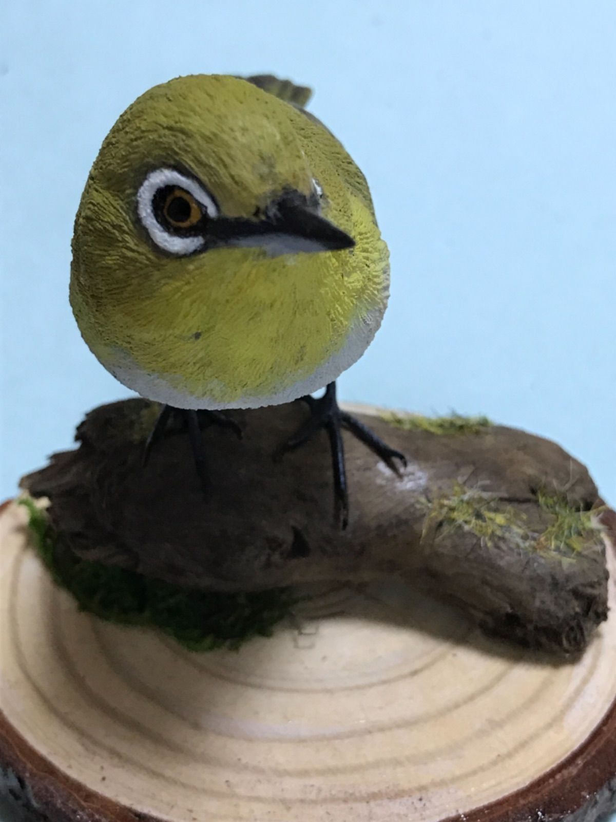 バード・カービング（木彫りの鳥）身近な鳥たち メジロ - メルカリ