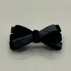 2026年最新】アレクサンドル ドゥ パリ バレッタ ベロアの人気アイテム