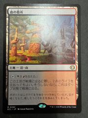 MTG 豊かな在郷 英語 拡張アート ECC ローウィンの昏明 統率者 EDH