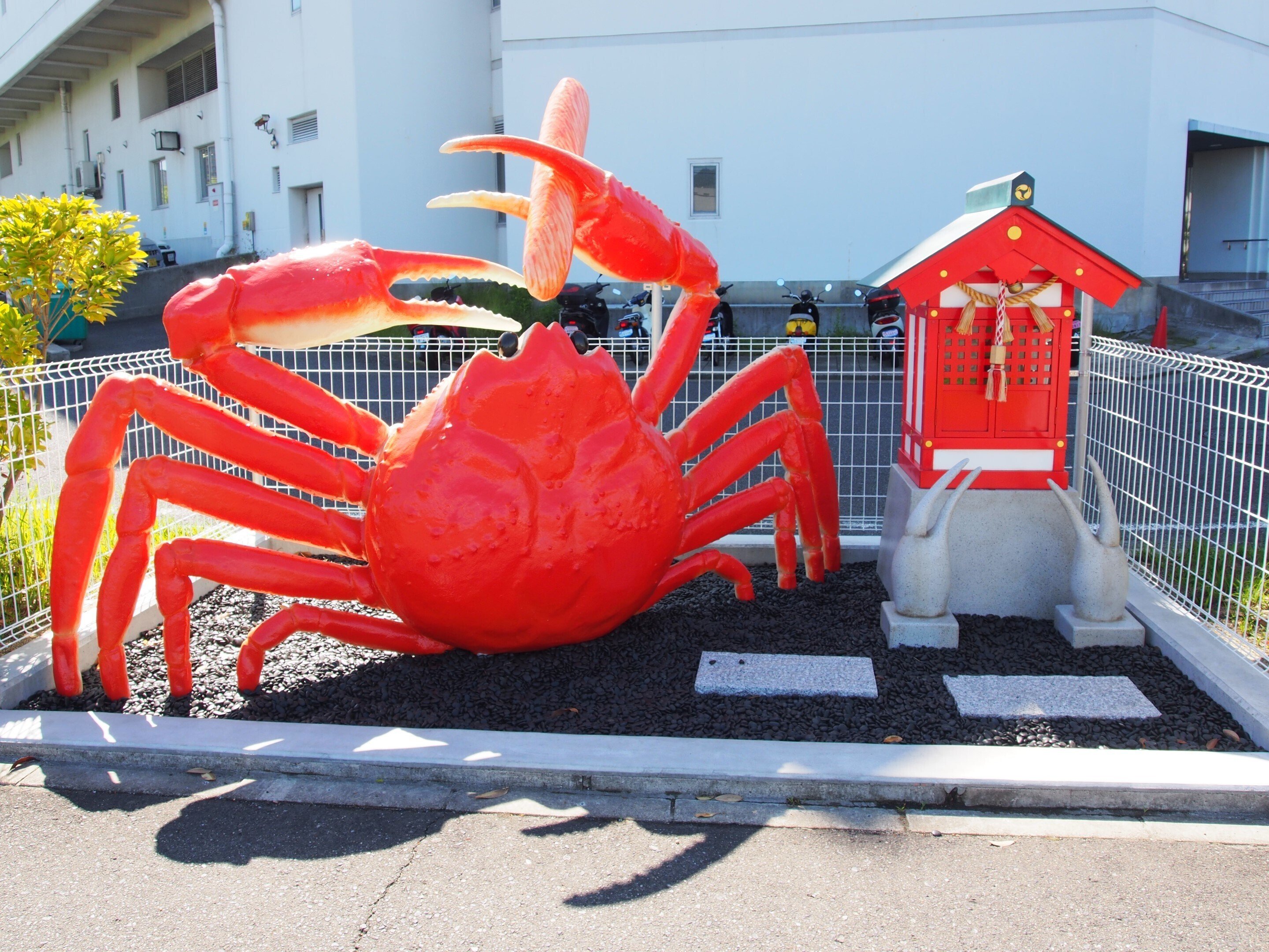 六甲アイランド2024年5月14日【ほぼカニ神社】｜レタス