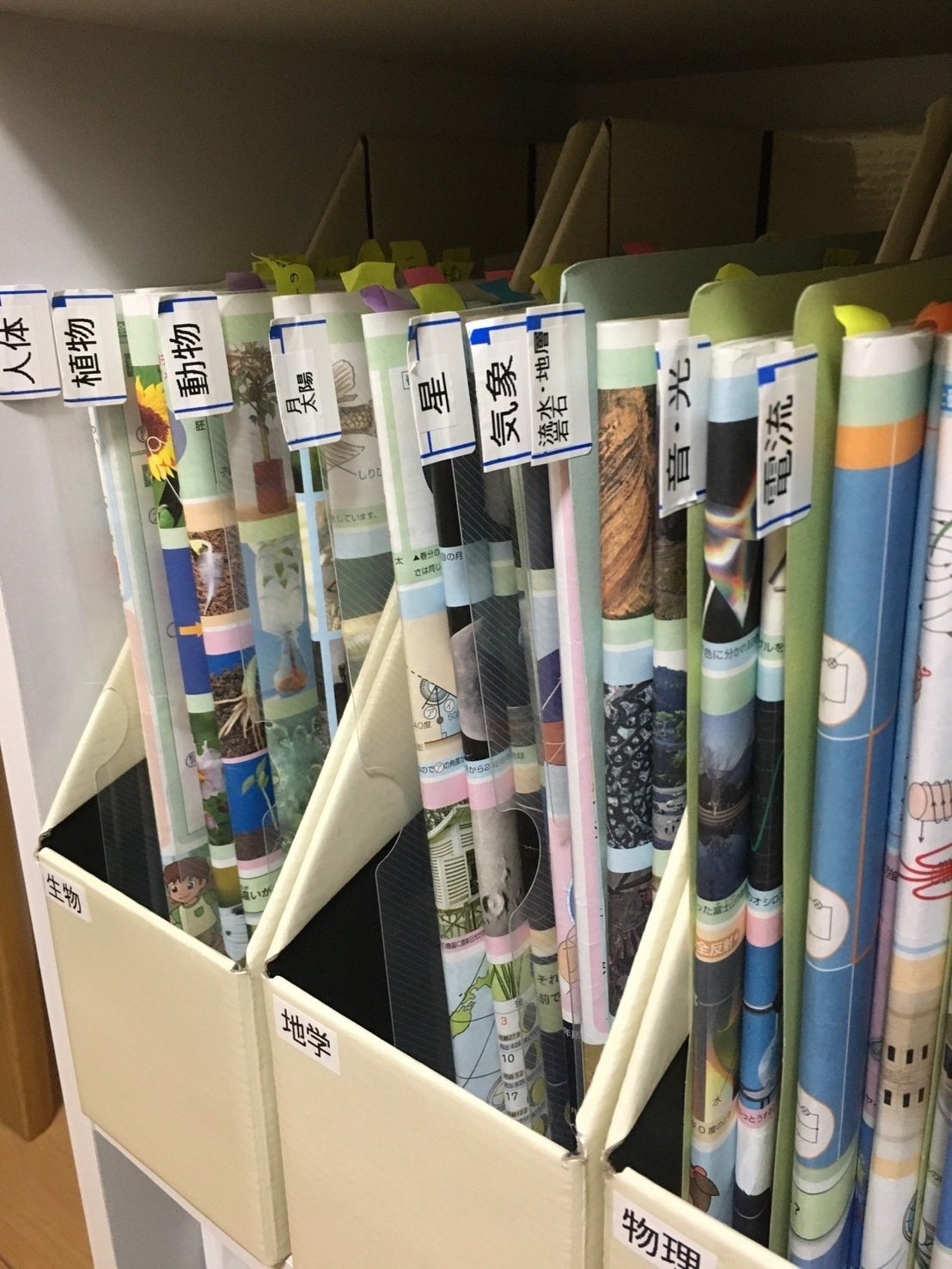 中学受験】SAPIX新6年生にお勧めしたい理科テキストの並べ替え｜ゆき