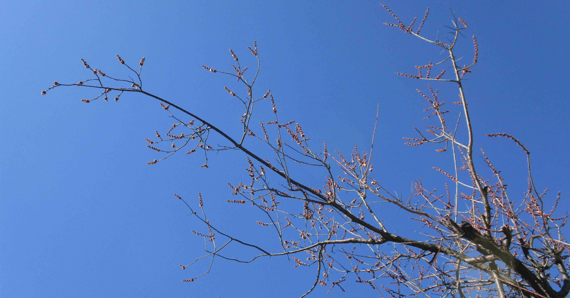 サピックス 新4年生入室・組み分けテスト 2025年3月度 (現3年生)｜そよ