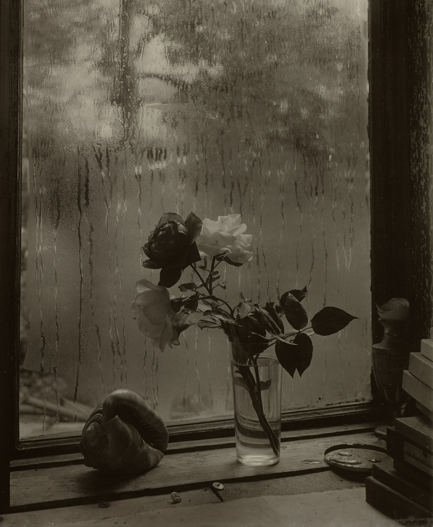 Josef Sudek Photographs