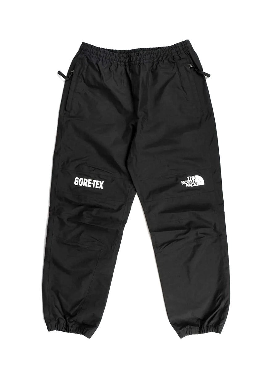 日本未発売モデル The North Face GTX Mountain Pant 