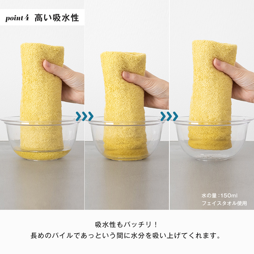 今治タオル フェイスタオル 3枚セット レオン タオル 送料無料 (宅配