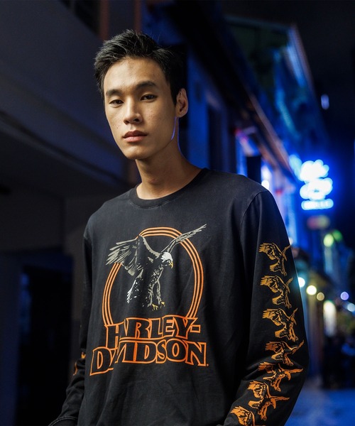 Harley-Davidson（ハーレーダビッドソン）の「ライジングイーグル