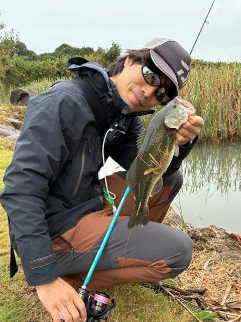 トランスセンデンス Botia(ボティア) 62S (スピニング/4ピース): 竿