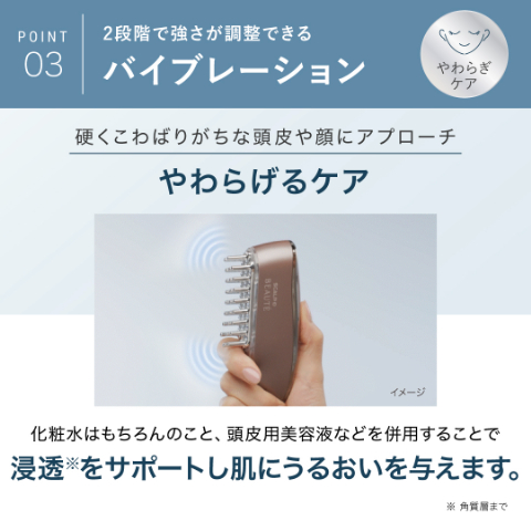 アンファースカルプD公式通販 | 予防医学のアンファーストア