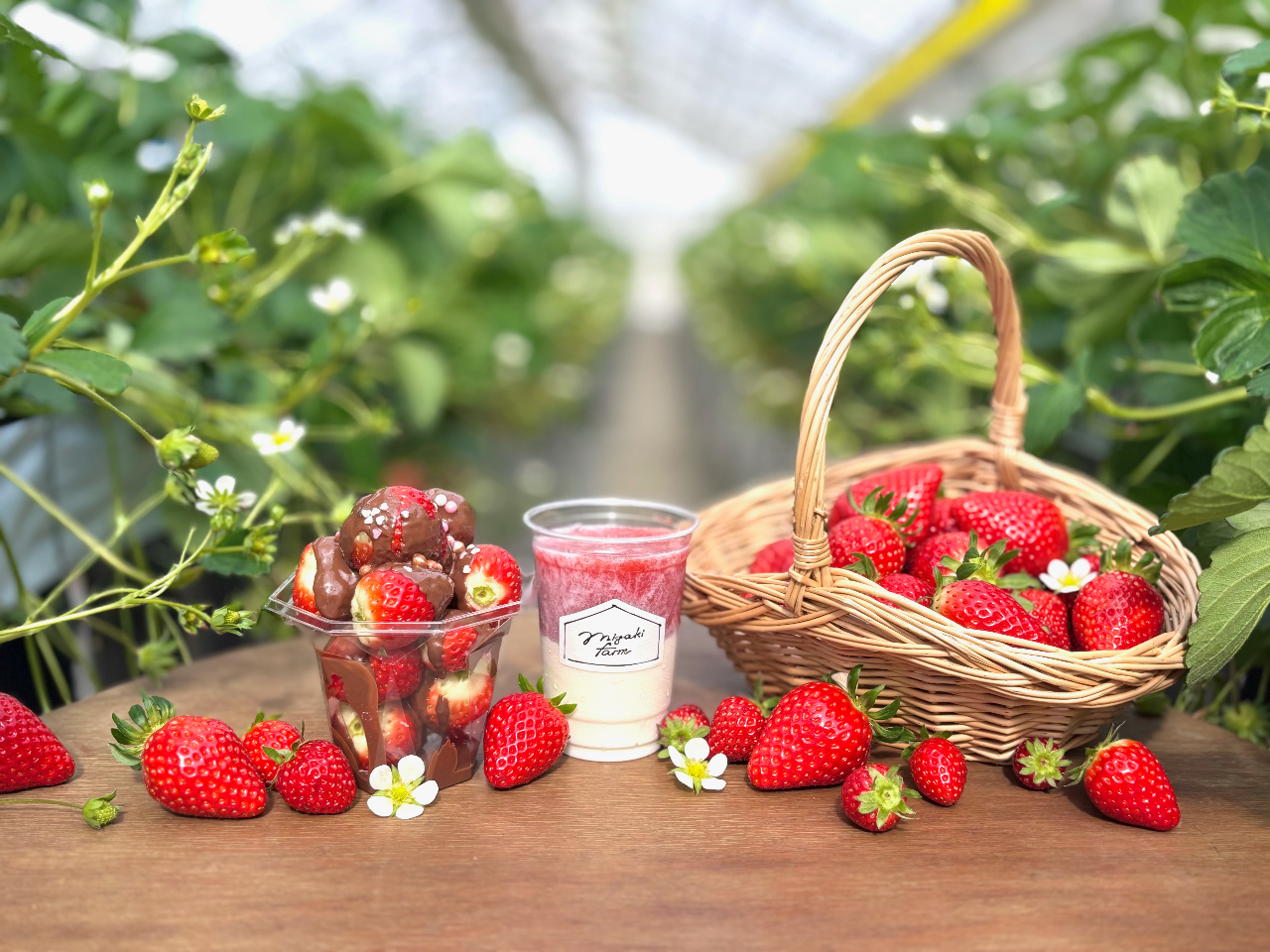 ☆人気No.1☆【いちご狩り45分間食べ放題】☆プレミアムプラン