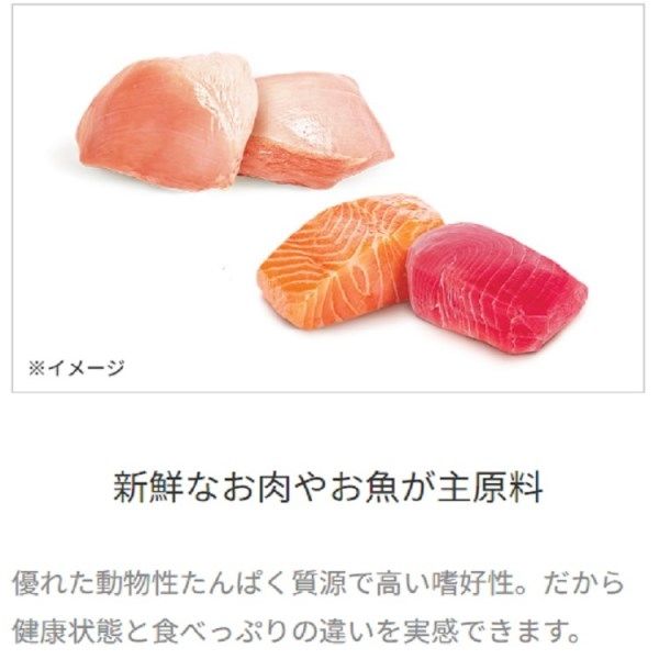 セット品）ピュリナワン 猫 美味を求める成猫用 1歳以上 チキン ＋