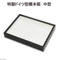 志賀昆虫 特製ドイツ型標本箱 大型 178853 1個（直送品） - アスクル