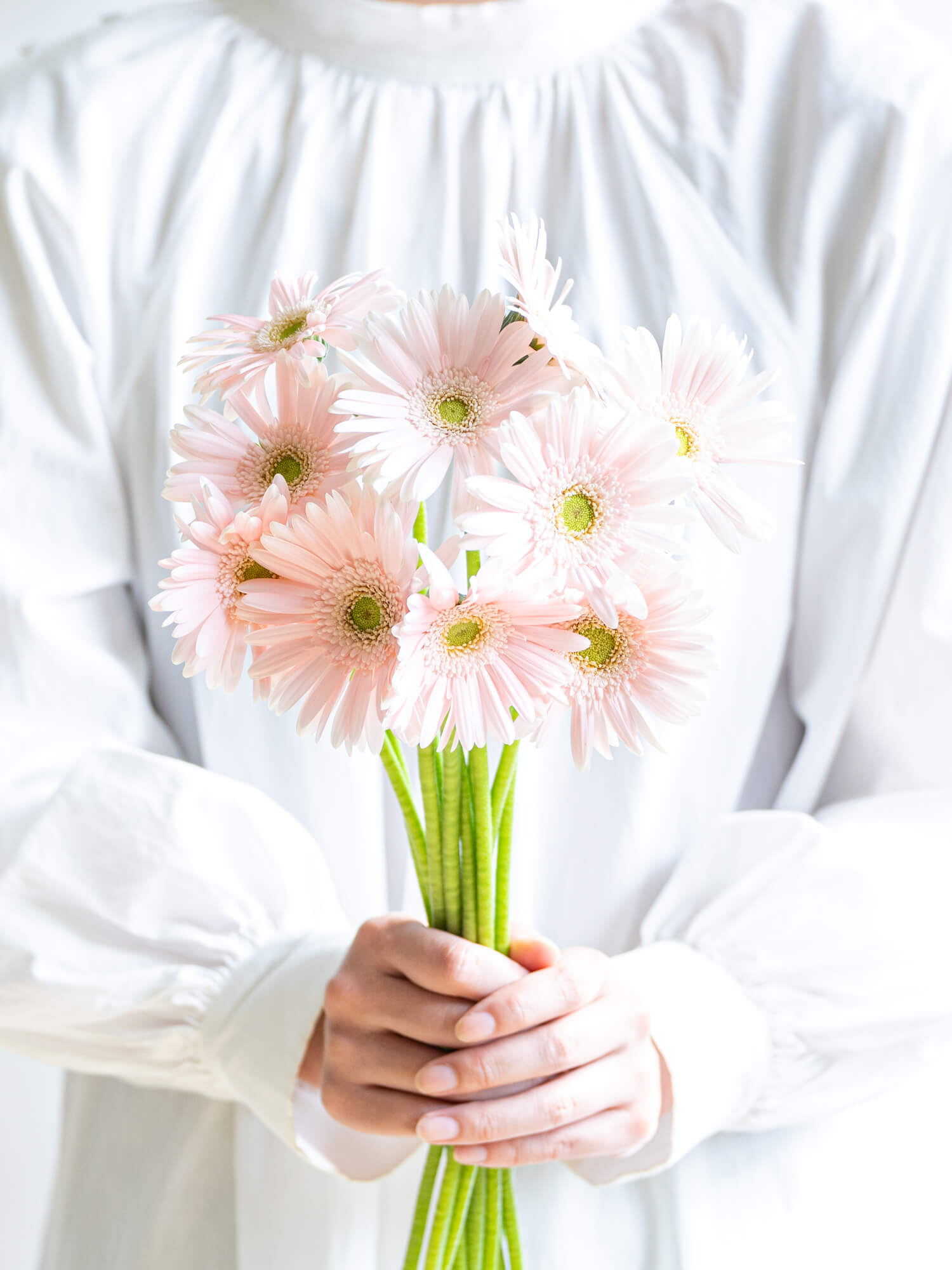 ガーベラ 一重（淡ピンク）ネクタリンケーキ｜花の仕入れを簡単に。花